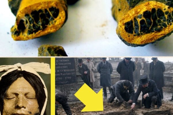 The Shocking Truth Behind Joan of Arc’s Remains – Forensic Science Uncovers a 2,000-Year Hoax