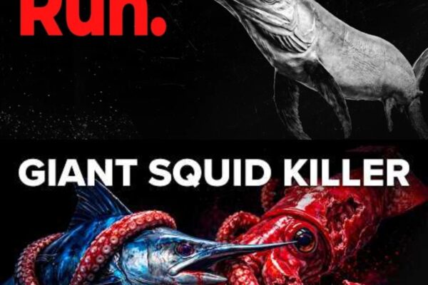 Why Giant Squids Are Terrified of Swordfish