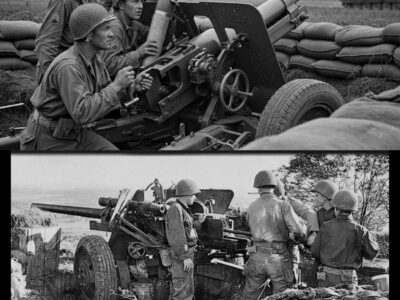 How One Gunner’s “Forbidden” Elevation Trick Turned His Gun Into a Panzer Killer