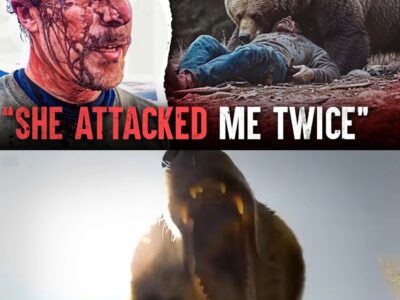 Two Grizzly Attacks in One Day: The Todd Orr Tragedy