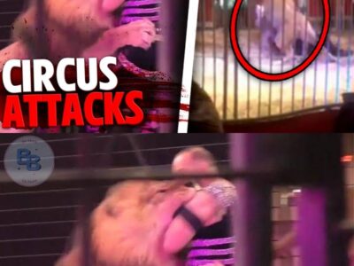 These 3 People Were RIPPED APART By Deadly Circus Animals!