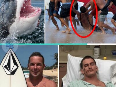 Deadliest Surfing Adventures