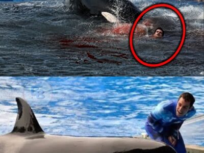 The HORRIFYING Final Minutes of Ken Peters’ Killer Whale Attack