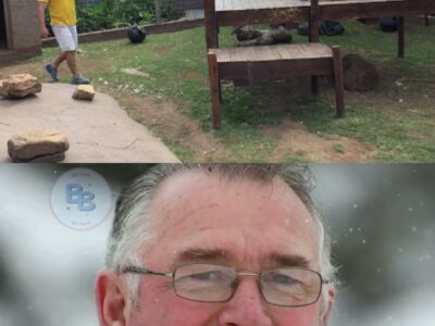 Proof Again That Tigers Are NOT Pets! Norman Buwalda Fatally Injured