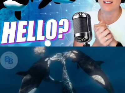 The Dreamlike Effects of this Fish Are Absolutely Horrifying