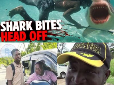 The HORRIFYING Last Minutes Jahmari Reid DECAPITATED By Shark!